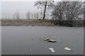 Chair and frozen canal