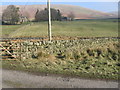 Glenries towards Conrig Hill