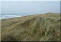 Marram Grass at Laggan Bay