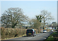 2008 : Clivey, approaching Dilton Marsh