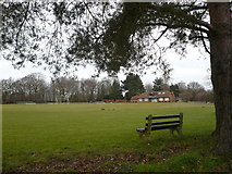 TQ9160 : Rodmersham Cricket Club by pam fray