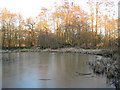 Fox Corner: Community Wildlife Area pond