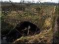 Coldstream Bridge No 2