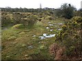 Marshy land below Cannaframe