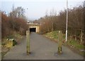 Path to Greenholme Mills, Iron Row, Burley in Wharfedale