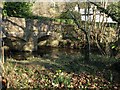 Bridge, Buckland Mill