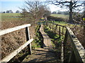 Send Marsh: Footpath towards Ripley