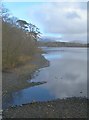 Loch Ballygrant Shore