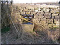 Ancient stone water trough