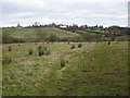 Braunston-Bragborough Farm