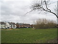 Stockheath Common from Finchdean Road