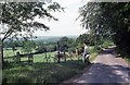 Country road near West Harting