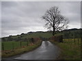 Lane to Lower Ackhill