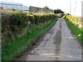 Islandhill Road, Ballyfrenis [1]