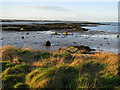 The shoreline near Ballywhiskin