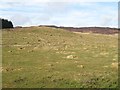 A bouldery spur near Persie House