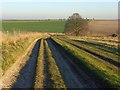 Farm track, Lambourn Downs