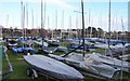 Dinghy Pound -Stokes Bay