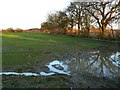 Farmland, Westfork, near Burgates