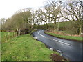 Small bridge over stream