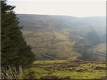 NY9049 : The cleugh of Heathery Burn by Mike Quinn