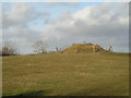 Mound near Ale Oak