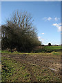 Muddy entrance into field