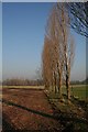 Poplars, Birtsmorton