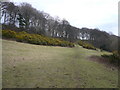 Footpath cuts across hillside near Stubbing