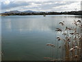 Brickfields Pond, Rhyl