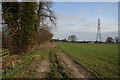 Looking back towards Cholsey