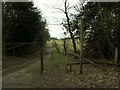 The bridleway near Birch Hall