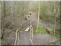 Footbridge over brook which feeds into The Great Pond of Stubbing