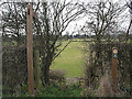 Footpath through the pasture