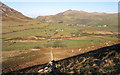 View NE across rough grazing on the eastern slopes of Mynydd Carnguwch