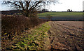 Footpath to Welton-le-Wold