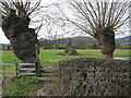 Footpath to Chase End Hill