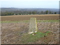 Park Farm trig