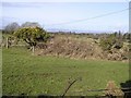 Ned Townland