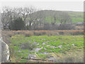 SH3844 : Waterlogged field alongside the B4417 by Eric Jones