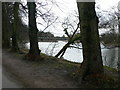 River Taff, Cardiff