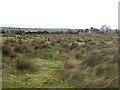 Magheramore Townland