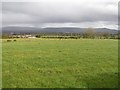 Magheramore Townland