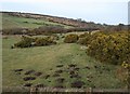 Edge of Trewint Downs