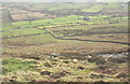 View downslope in the direction of Gelliau Farm