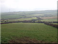 Fields near Cansford and Wilslea Farms