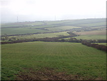 SX1593 : Fields near Cansford and Wilslea Farms by David Hawgood