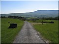 Track to High Birkwith