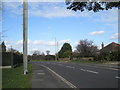 Looking northwards at Manor Road