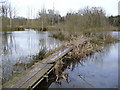 Jetty on Pond, by Slaugham